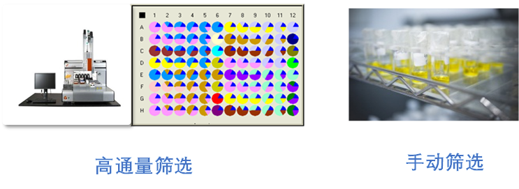 6. 6.2 IP筛选-高通量&手动