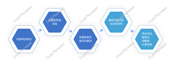 Fig. 2 多晶型研究方案设计