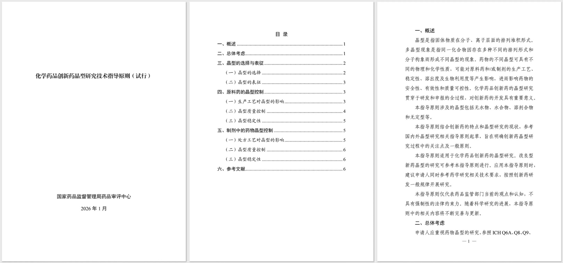 化学药品创新药晶型研究技术指导原则（试行）-全文1